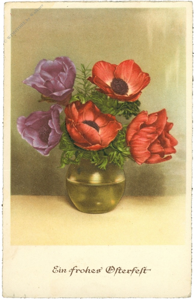 ostern, anemonen ostern, anemonen