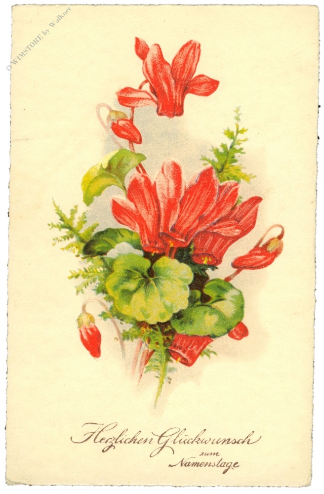 namenstag, cyclamen namenstag, cyclamen