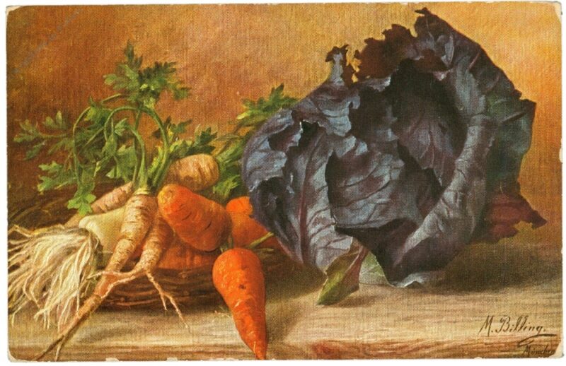 rotkohl und wurzelgemüse