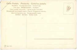 rotkohl und wurzelgemüse
