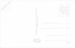 waidhofen an der ybbs, inneres der pfarrkirche