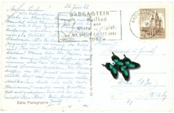 bad gastein, windischgrätzhöhe