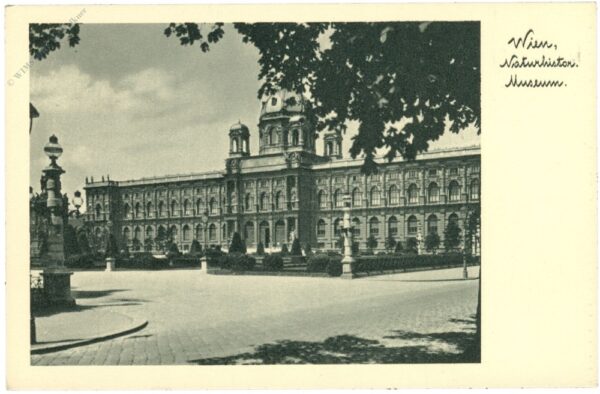 wien 1, naturhistorisches museum