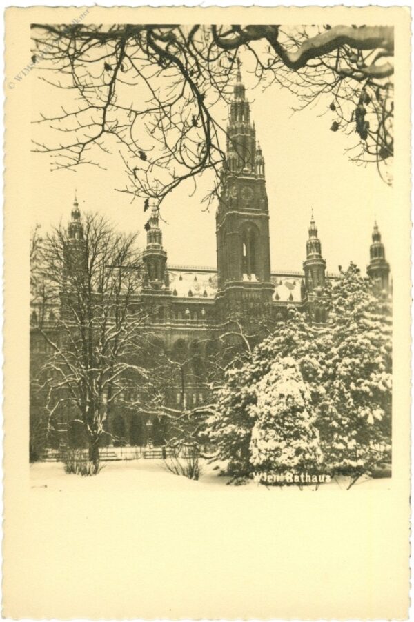 wien 1, rathaus im winter