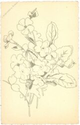 blumen blumen