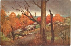 kavel, f. martin: landschaft nach waldbrand, fontainebleau 1911