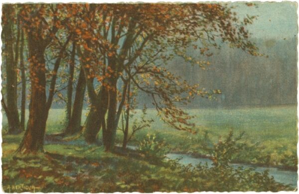 waldlandschaft mit bach