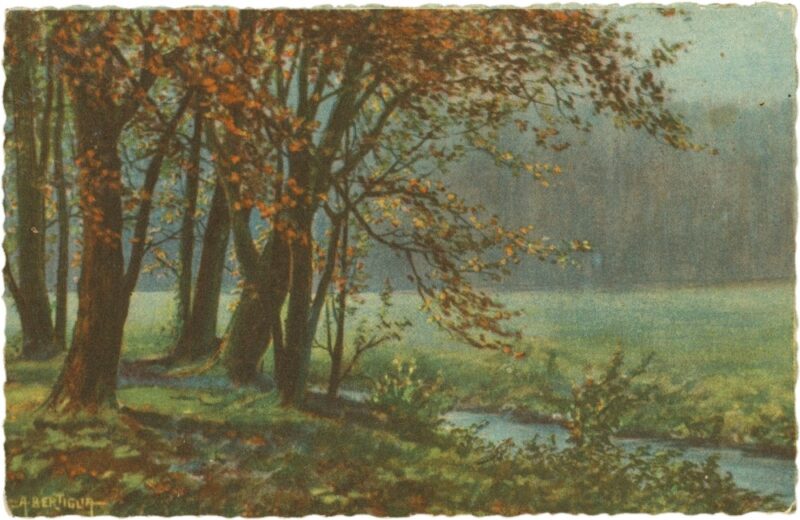 waldlandschaft mit bach