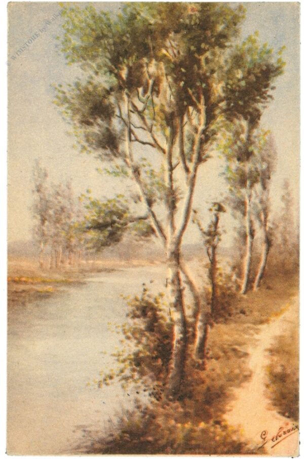 birken am fluss birken am fluss
