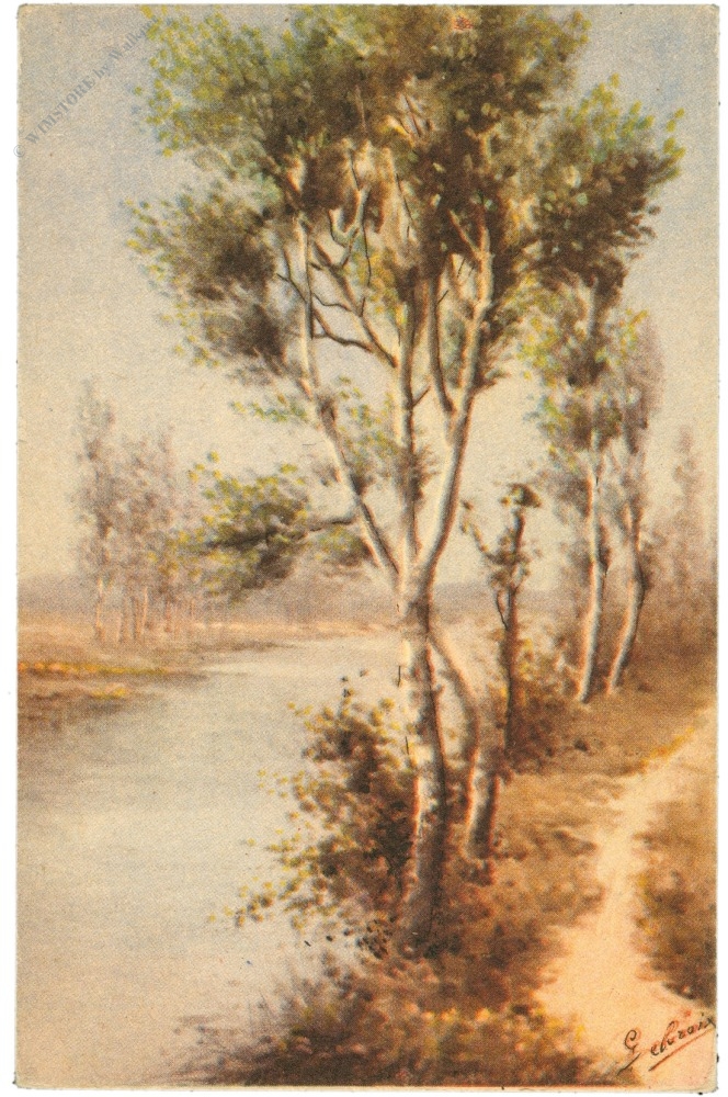 birken am fluss birken am fluss