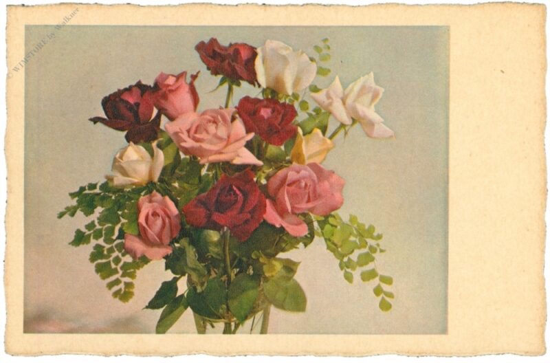 rosenstrauß