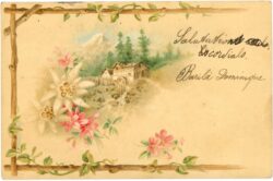 berglandschaft mit almhaus und edelweiß