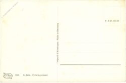 frühlingsblumen in vase