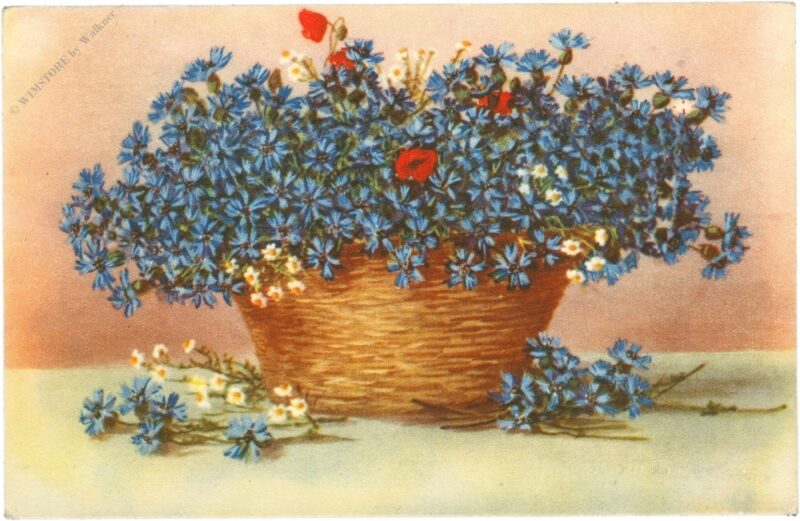 blaue blumen im korb