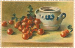 stachelbeeren stachelbeeren