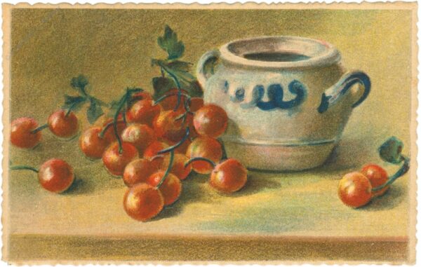 stachelbeeren stachelbeeren