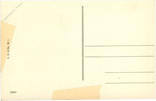 wien 1, blick auf parlament und rathaus