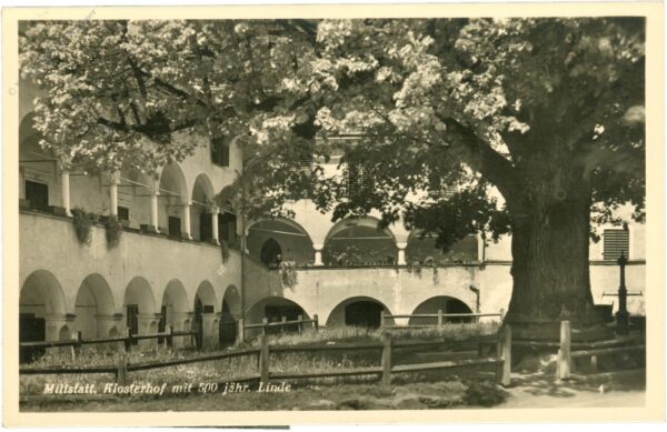 millstatt, klosterhof mit 500 jähr. linde