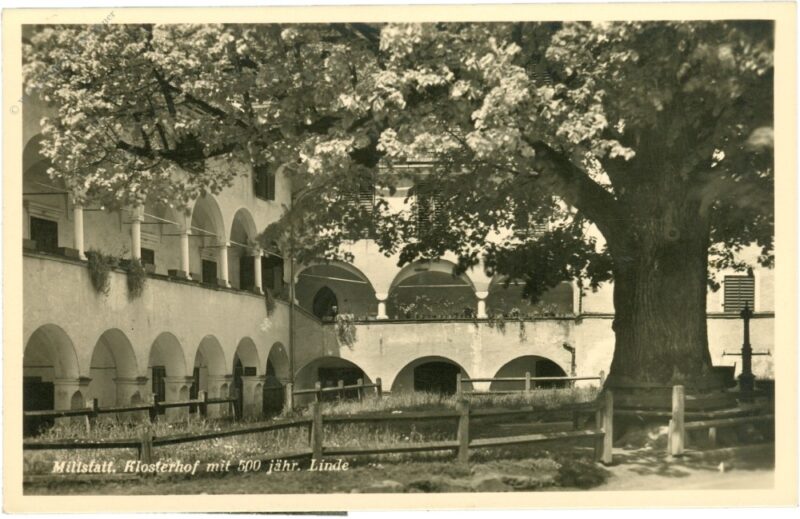 millstatt, klosterhof mit 500 jähr. linde