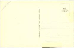 millstatt, klosterhof mit 500 jähr. linde