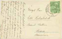 dame mit blumen dame mit blumen