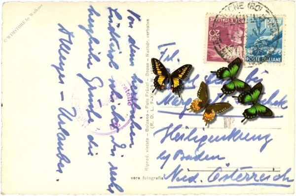 brixen am eisack, gegen süden