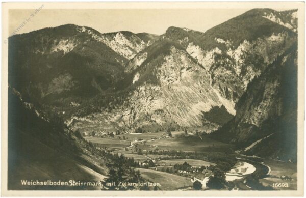 weichselboden, mit stellerstaritzen