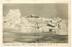 ratten, rosegger alpenhaus, pretulalpe