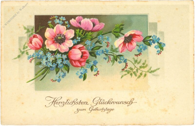 geburtstag, blumen geburtstag, blumen