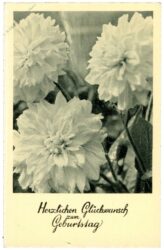 geburtstag, blumen