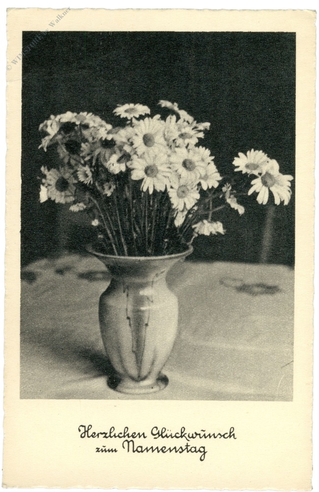 namenstag, margeriten in vase namenstag, margeriten in vase