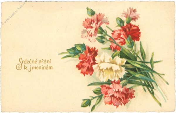 geburtstag, nelken geburtstag, nelken