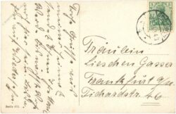 pferde bei der tränke