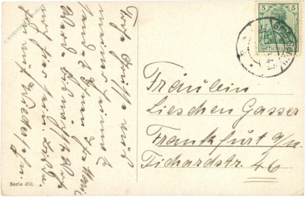 pferde bei der tränke