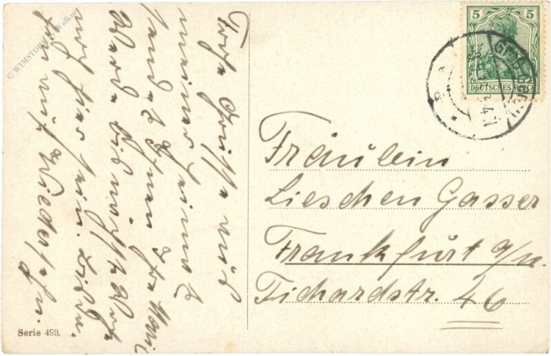 pferde bei der tränke