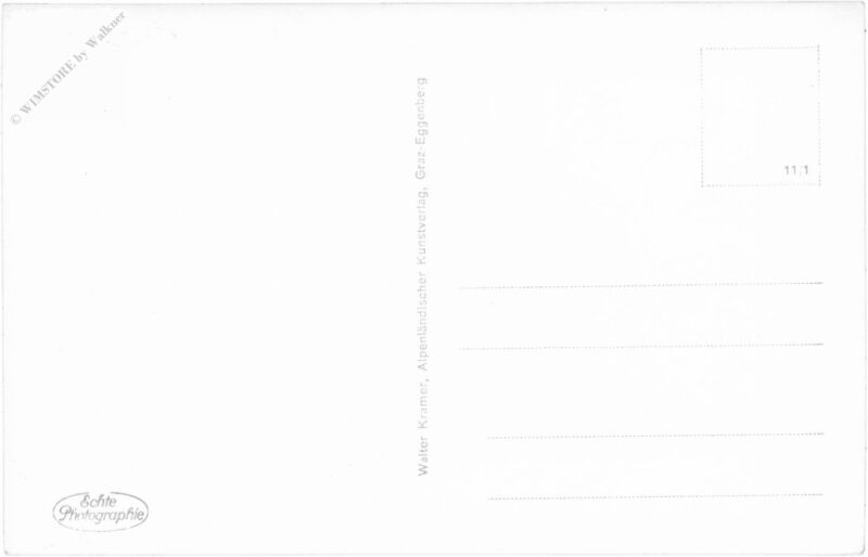 lienz, mit spitzkofel