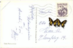 großglockner, hochalpenstrasse, mit käfertal