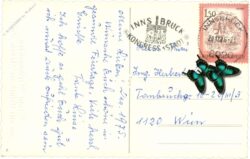 weihnachten, glocken mit schleifen und zweigen