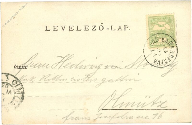 familienspaziergang im park