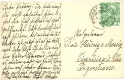 lindenau bei zwickau i. böhm., ortsansicht