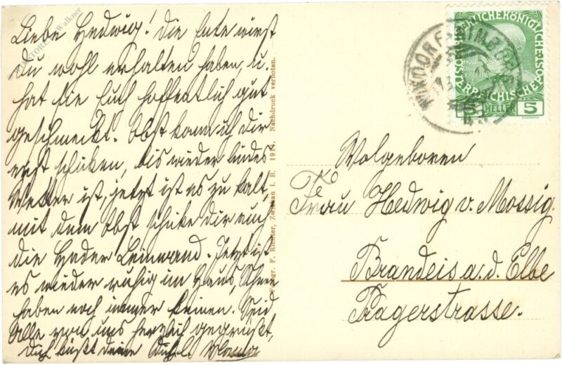 lindenau bei zwickau i. böhm., ortsansicht