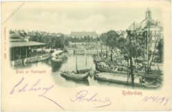 rotterdam, fischmarkt