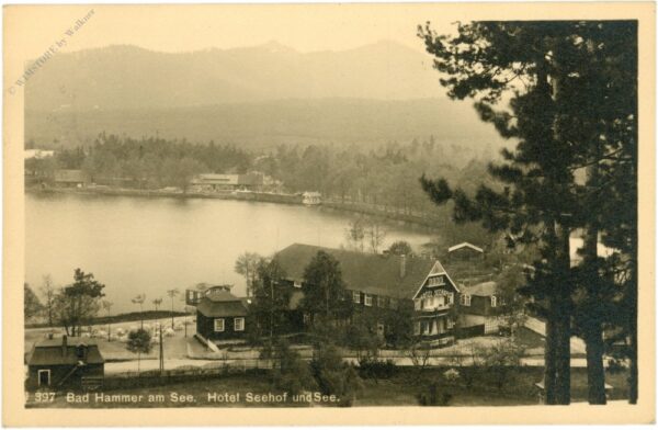 bad hammer am see, hotel seehof und see