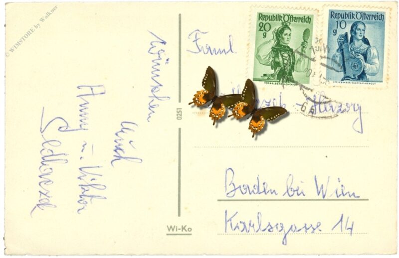 weihnachten, christbaum