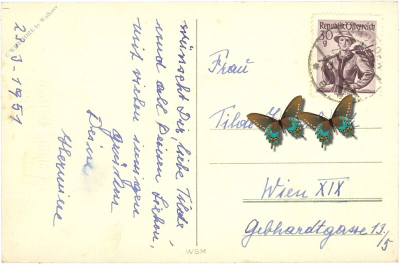 ostern, hase beim eierbemalen