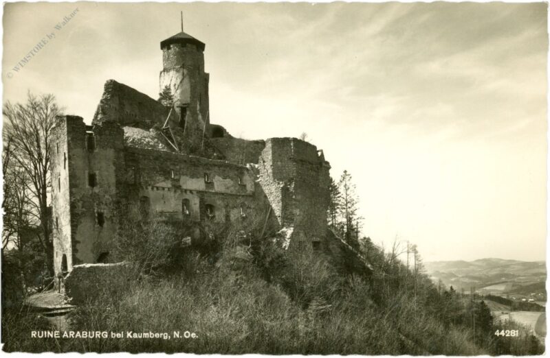kaumberg, ruine araburg