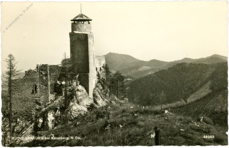 kaumberg, ruine araburg