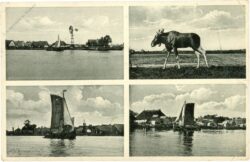 gilge (matrossowo), multiansicht