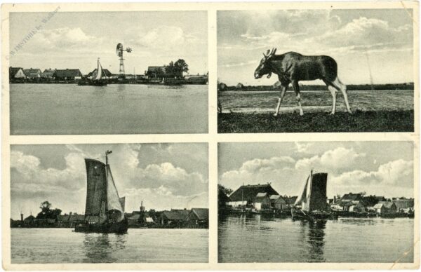 gilge (matrossowo), multiansicht