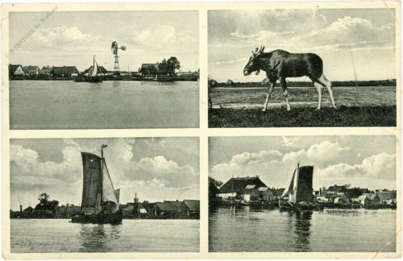 gilge (matrossowo), multiansicht